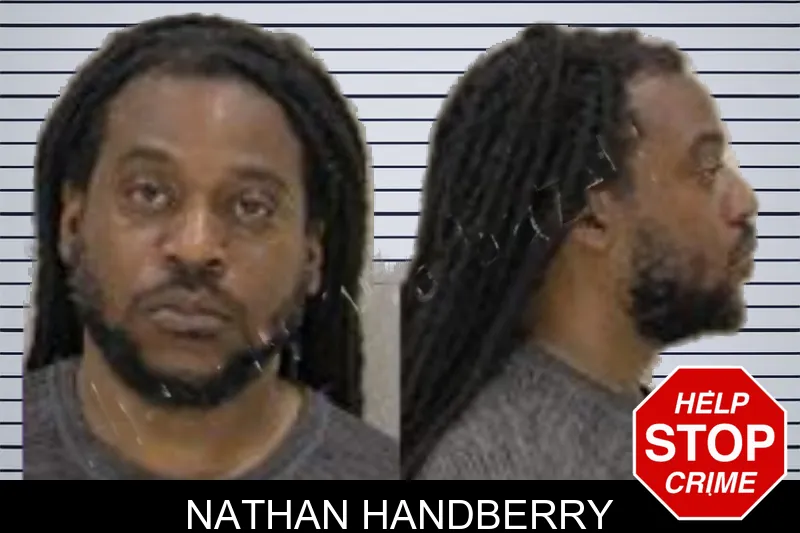 Nathan Handberry mugshot