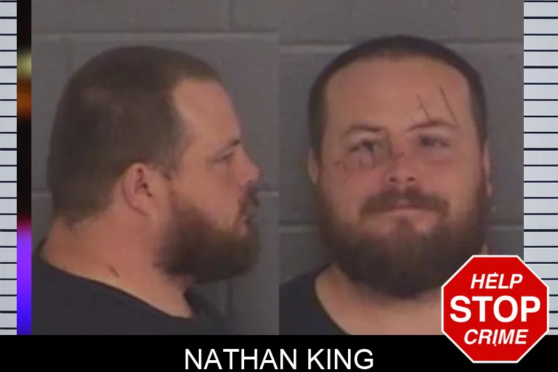Nathan King mugshot