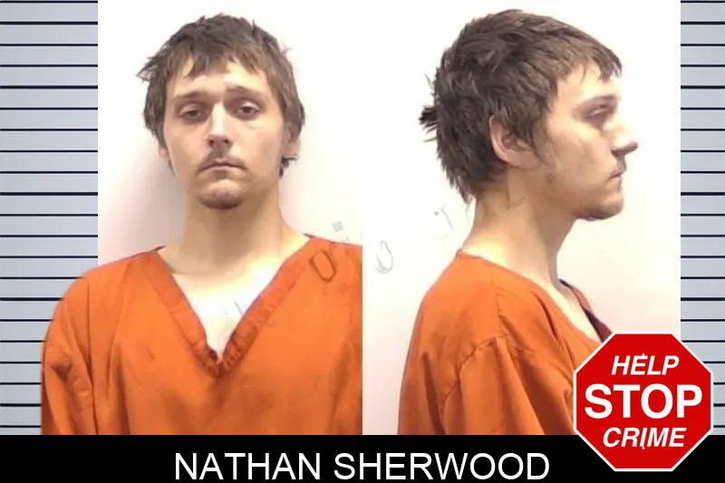 Nathan Sherwood mugshot