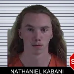 Nathaniel Kabani mugshot – Fannin County , Georgia Nathaniel Kabani mugshot