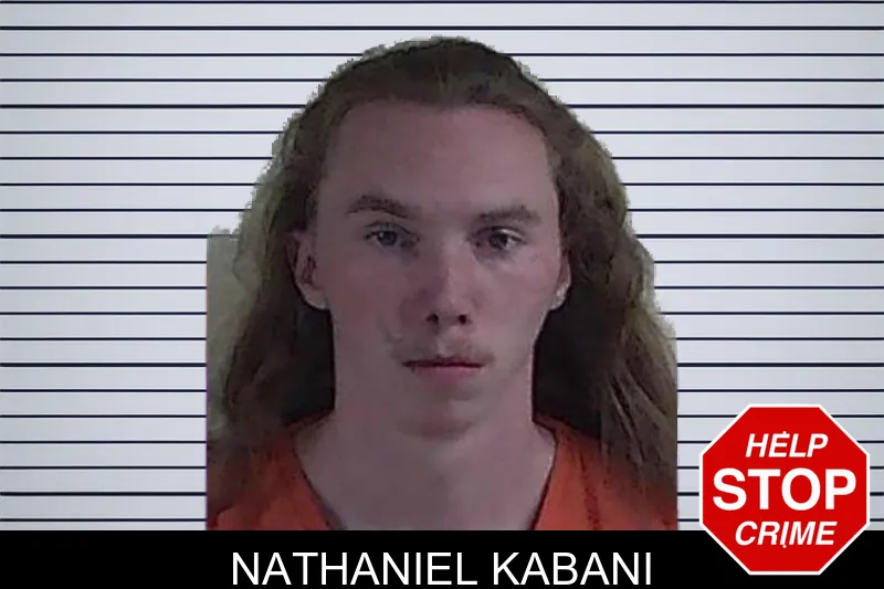Nathaniel Kabani mugshot – Fannin County , Georgia Nathaniel Kabani mugshot