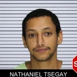 Nathaniel Tsegay mugshot – Cobb County , Georgia Nathaniel Tsegay mugshot
