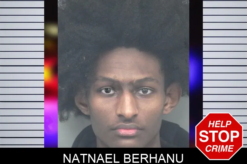 Natnael Berhanu mugshot
