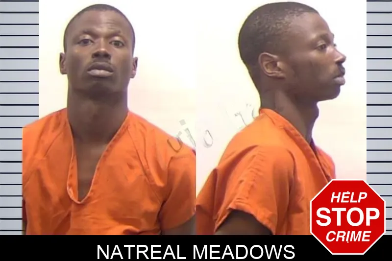Natreal Meadows mugshot – Clarke County , Georgia Natreal Meadows mugshot