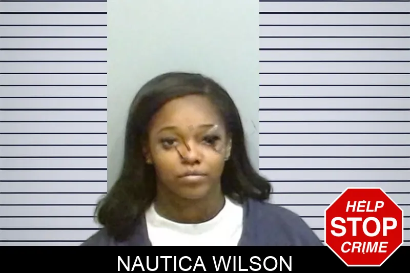 Nautica Wilson mugshot – Fulton County , Georgia Nautica Wilson mugshot