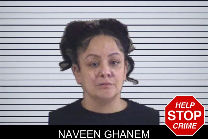 Naveen Ghanem mugshot – Whitfield County , Georgia Naveen Ghanem mugshot