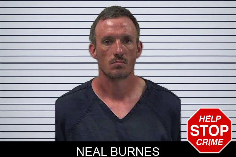 Neal Burnes mugshot