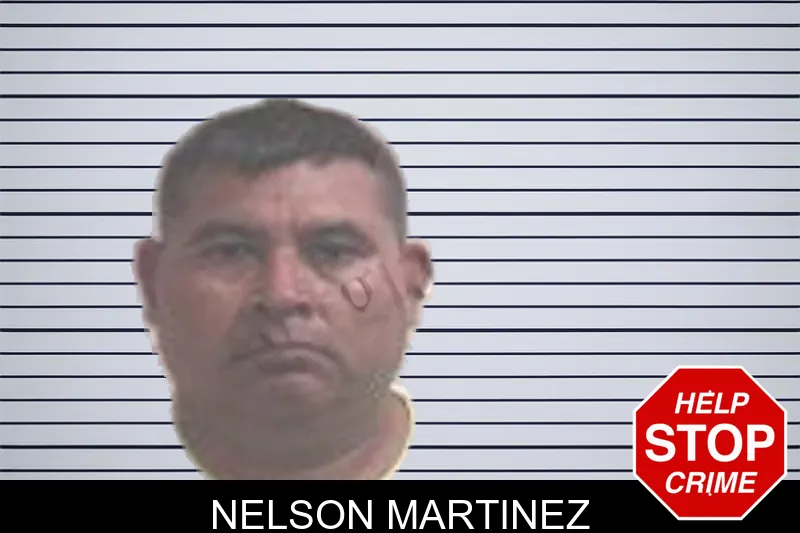 Nelson Martinez mugshot – Henry County , Georgia Nelson Martinez mugshot