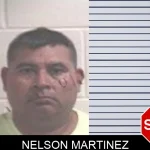 Nelson Martinez mugshot
