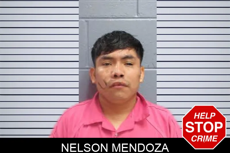 Nelson Mendoza mugshot