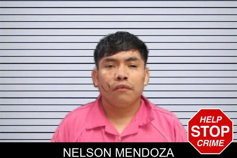 Nelson Mendoza mugshot