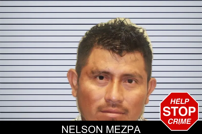 Nelson Mezpa mugshot – Chatham County , Georgia Nelson Mezpa mugshot