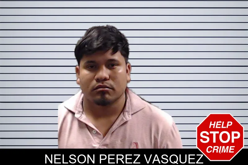 Nelson Perez Vasquez mugshot