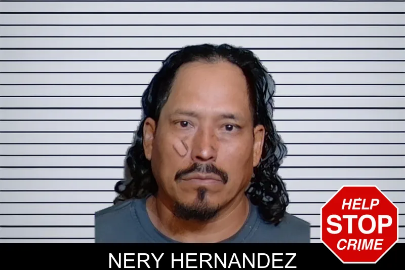Nery Hernandez mugshot