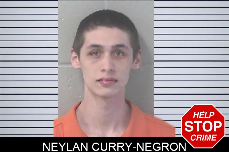 Neylan Curry-Negron mugshot