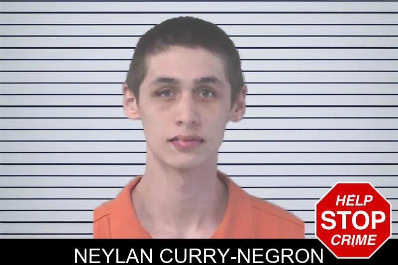 Neylan Curry-Negron mugshot – Newton County , Georgia Neylan Curry-Negron mugshot