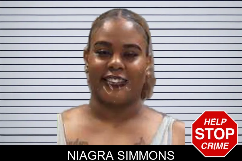Niagra Simmons mugshot