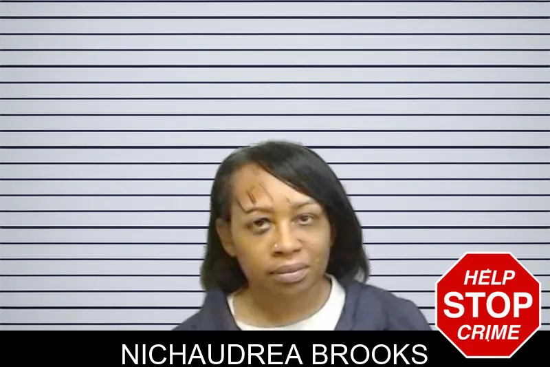 Nichaudrea Brooks mugshot