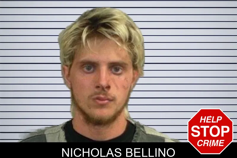 Nicholas Bellino mugshot