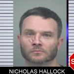 Nicholas Hallock mugshot – Gwinnett County , Georgia Nicholas Hallock mugshot