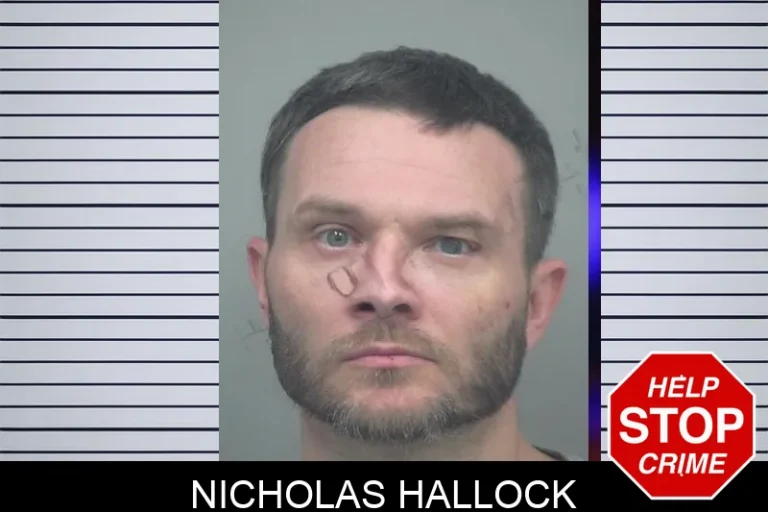 Nicholas Hallock mugshot – Gwinnett County , Georgia Nicholas Hallock