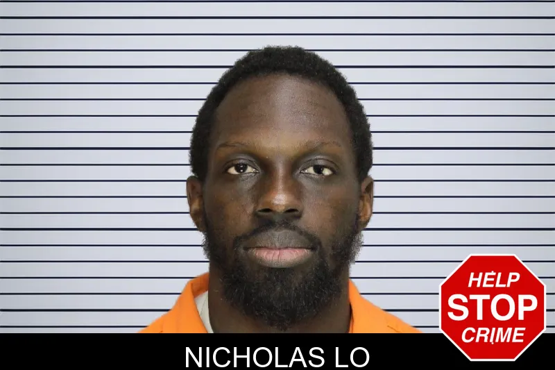 Nicholas Lo mugshot