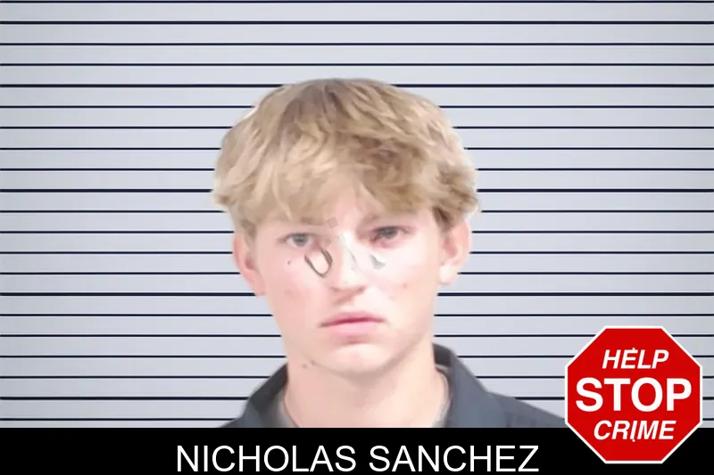 Nicholas Sanchez mugshot – Lowndes County , Georgia Nicholas Sanchez mugshot
