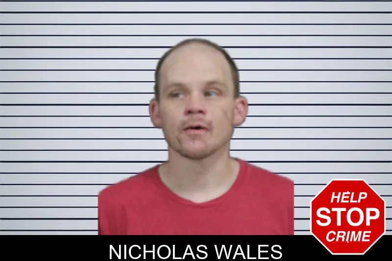 Nicholas Wales mugshot