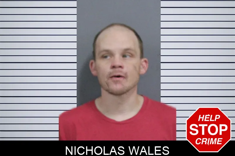 Nicholas Wales mugshot – Catoosa County , Georgia Nicholas Wales mugshot
