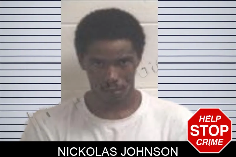 Nickolas Johnson mugshot