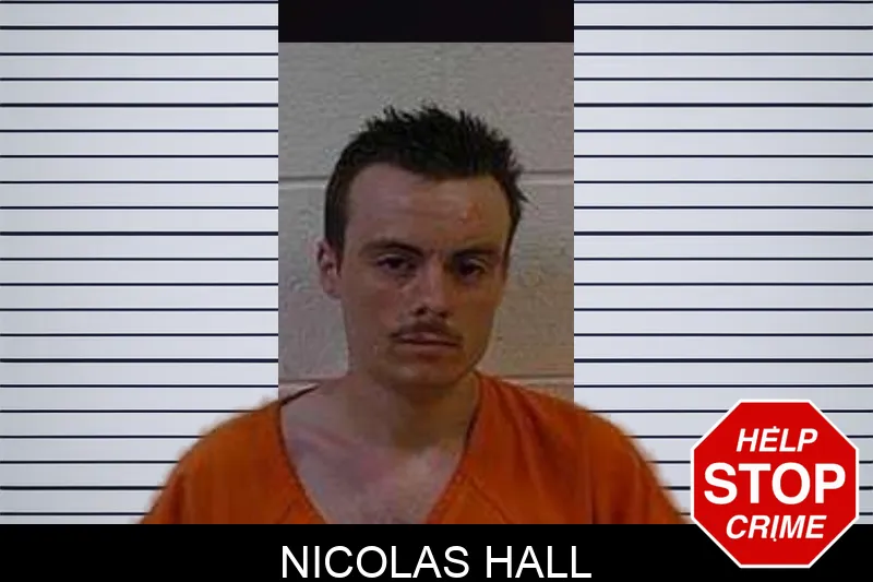 Nicolas Hall mugshot – Polk County , Georgia Nicolas Hall mugshot