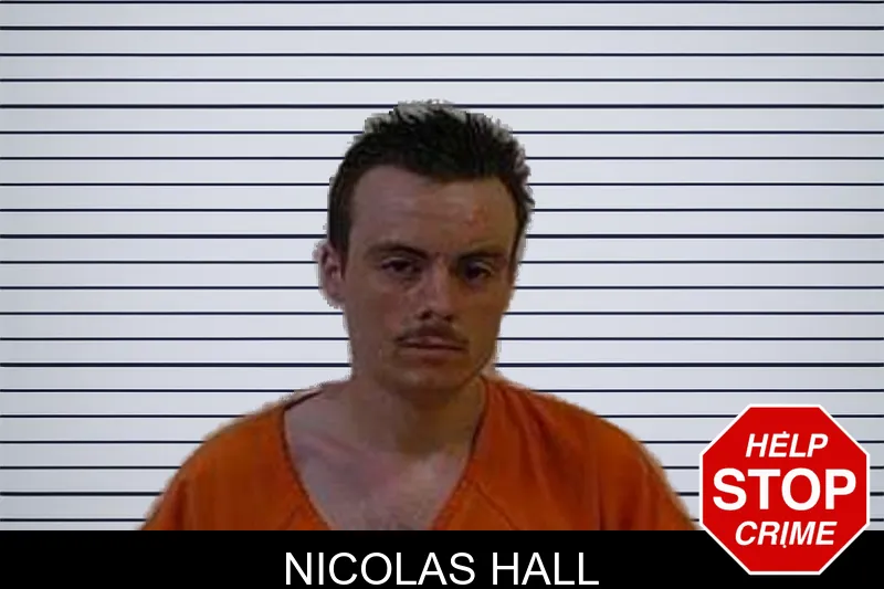 Nicolas Hall mugshot – Polk County , Georgia Nicolas Hall mugshot