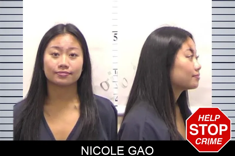 Nicole Gao mugshot