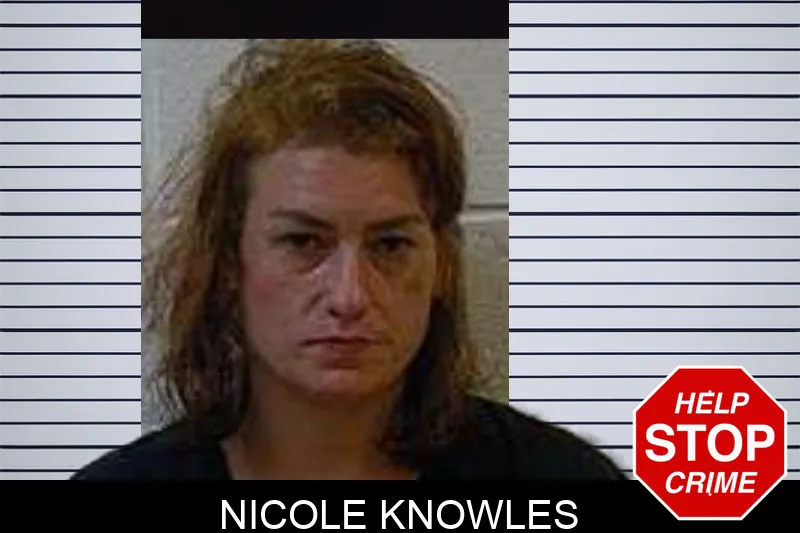 Nicole Knowles mugshot