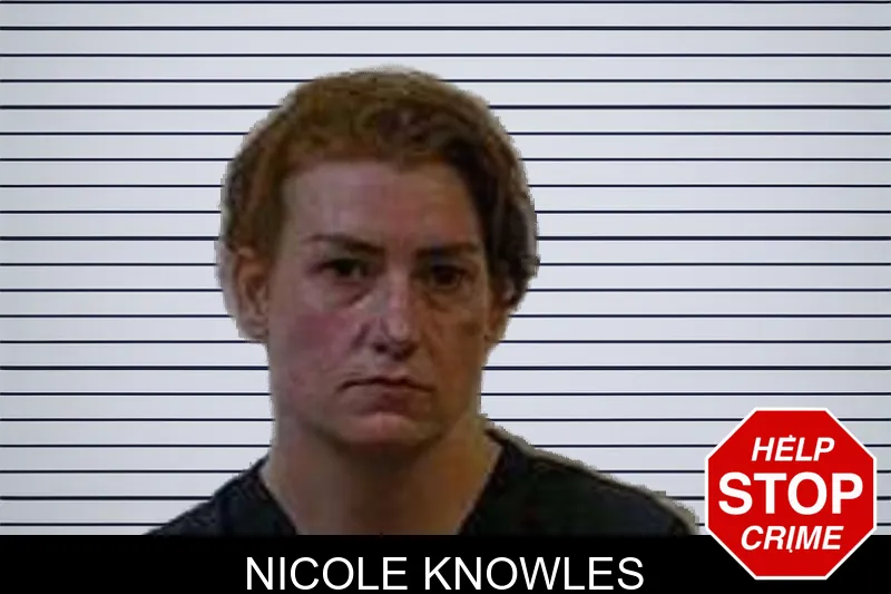 Nicole Knowles mugshot