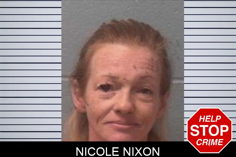 Nicole Nixon mugshot – Franklin County , Georgia Nicole Nixon mugshot