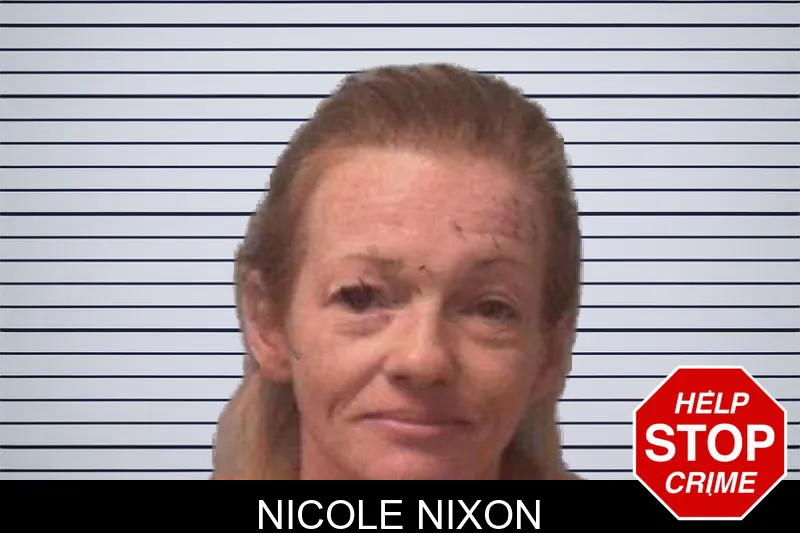 Nicole Nixon mugshot – Franklin County , Georgia Nicole Nixon mugshot