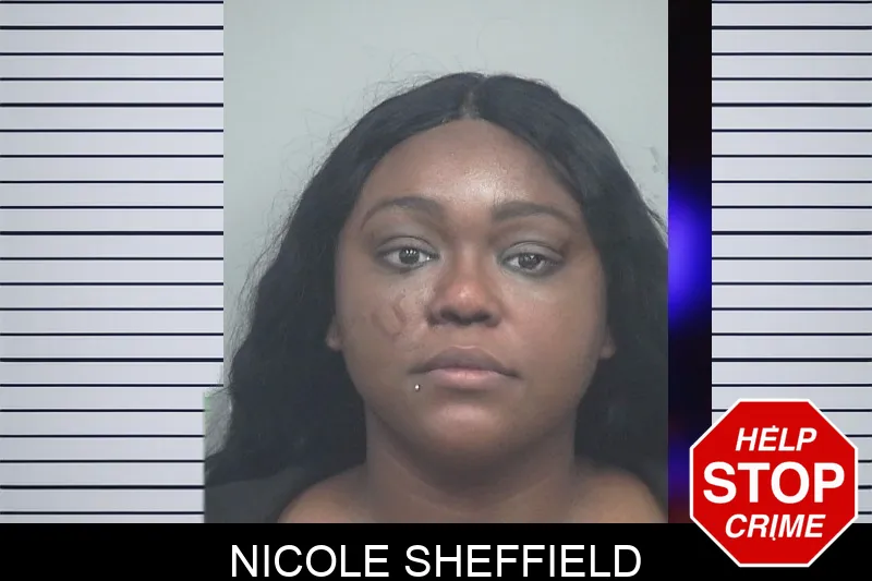 Nicole Sheffield mugshot