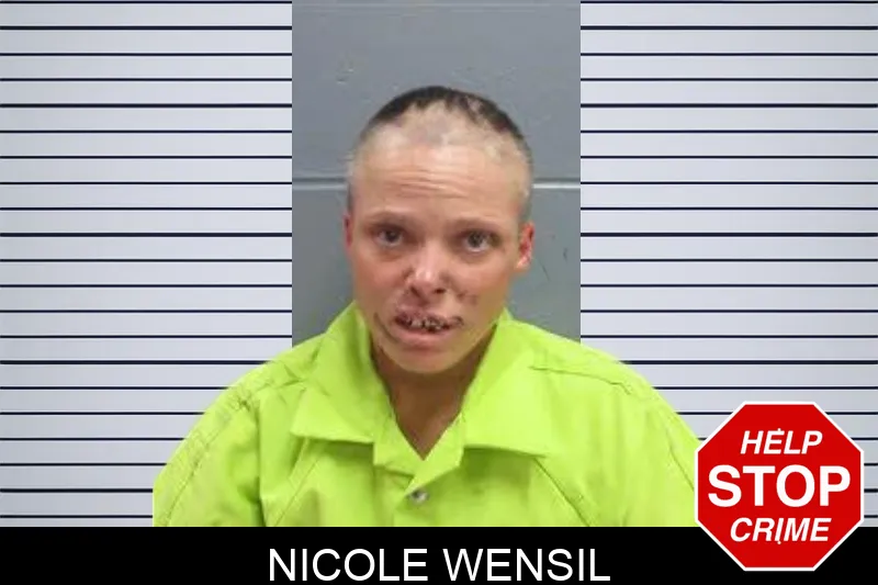 Nicole Wensil mugshot