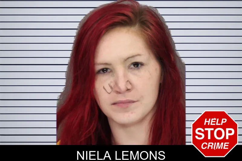 Niela Lemons mugshot – Cobb County , Georgia Niela Lemons mugshot
