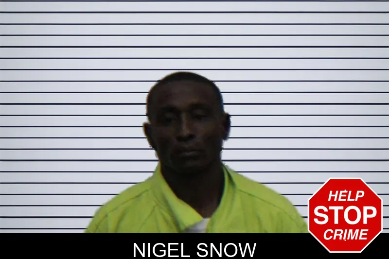 Nigel Snow mugshot