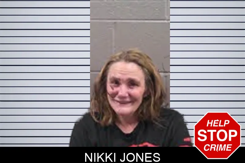 Nikki Jones mugshot – Banks County , Georgia Nikki Jones mugshot