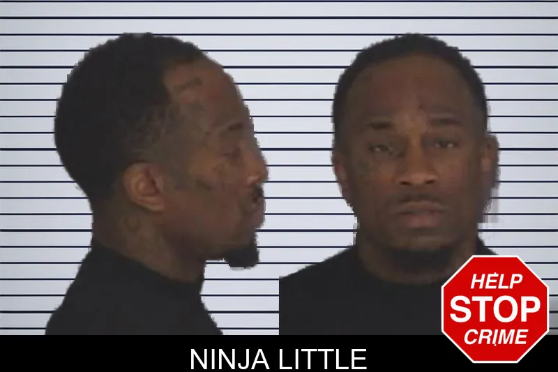 Ninja Little mugshot