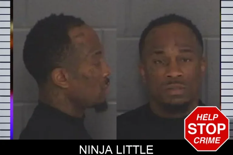 Ninja Little