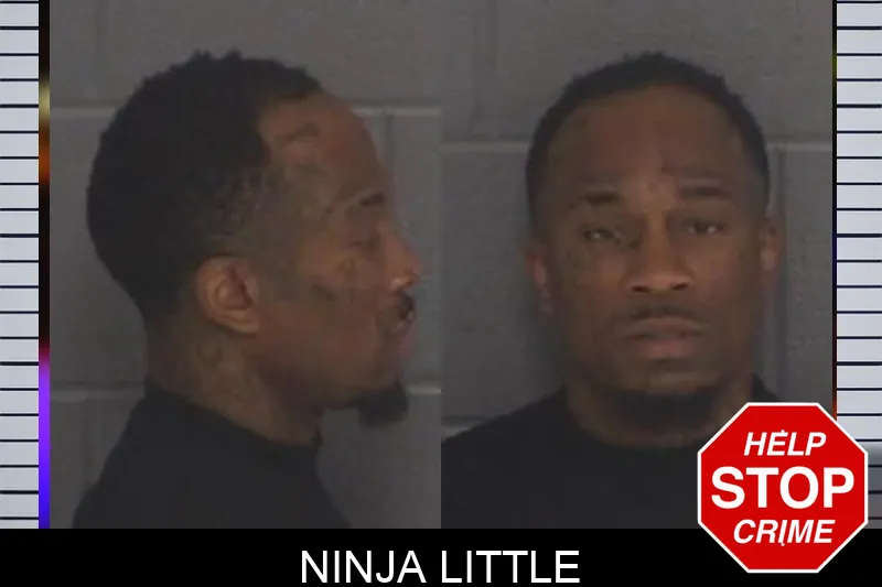 Ninja Little mugshot