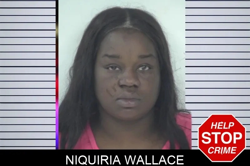 Niquiria Wallace mugshot – Fayette County , Georgia Niquiria Wallace mugshot