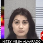 Nitzy Mejia Alvarado mugshot