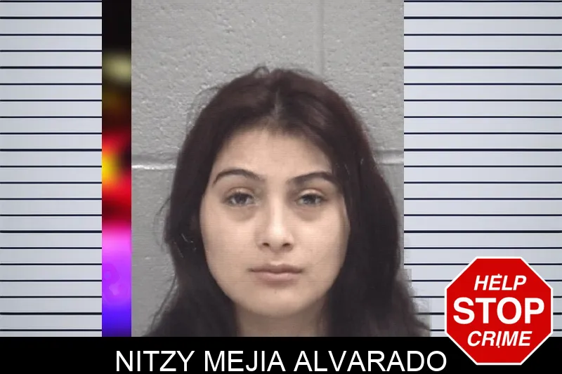 Nitzy Mejia Alvarado mugshot