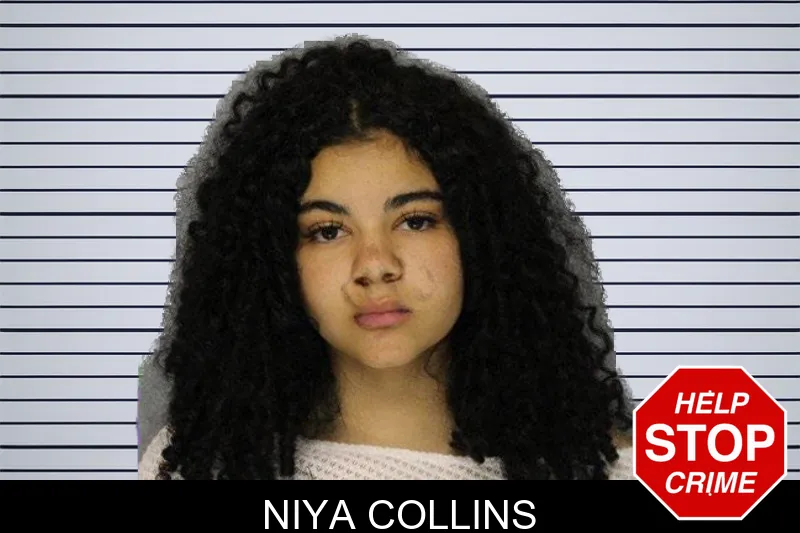 Niya Collins mugshot