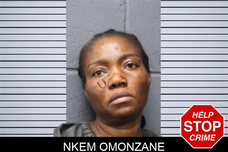 Nkem Omonzane mugshot – Forsyth County , Georgia Nkem Omonzane mugshot